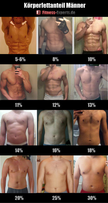 Koerperfettanteil Maenner