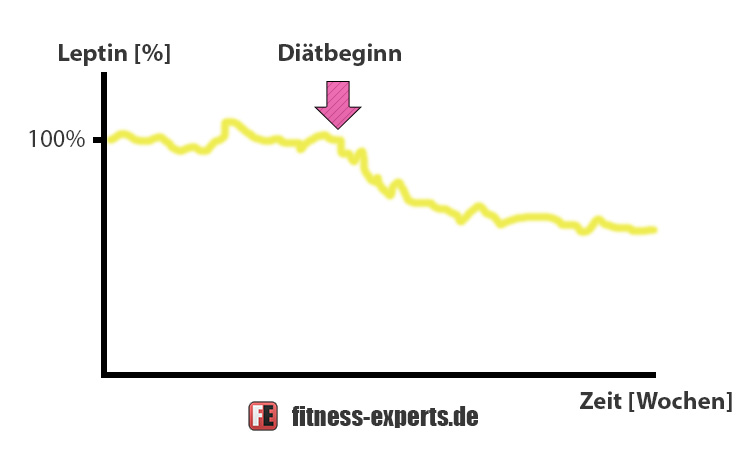 Leptin Abfall Diät.